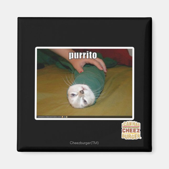Aimant purrito (Devant)