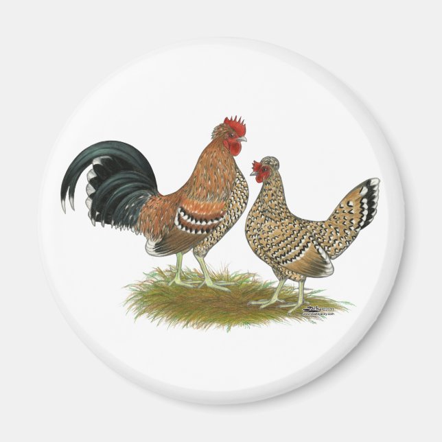 Aimant Pyncheon Bantams (Devant)