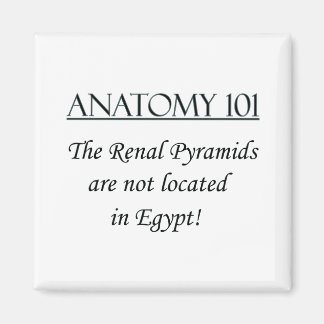 Aimant Pyramides rénales non situées en Eqypt