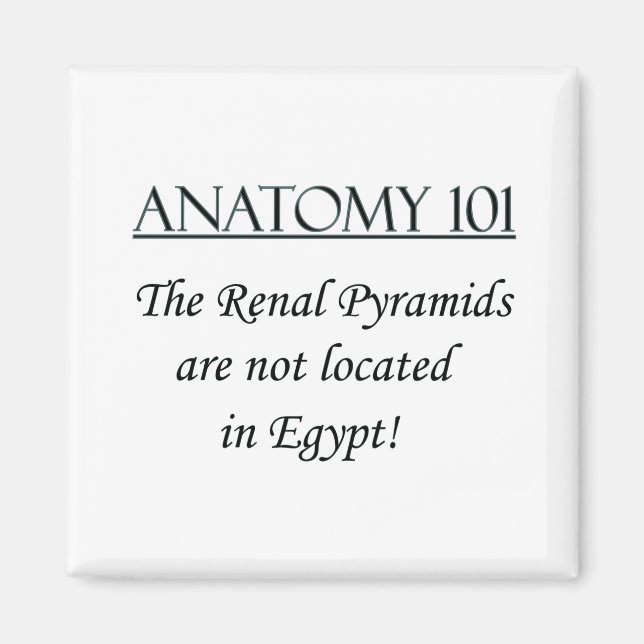 Aimant Pyramides rénales non situées en Eqypt (Devant)