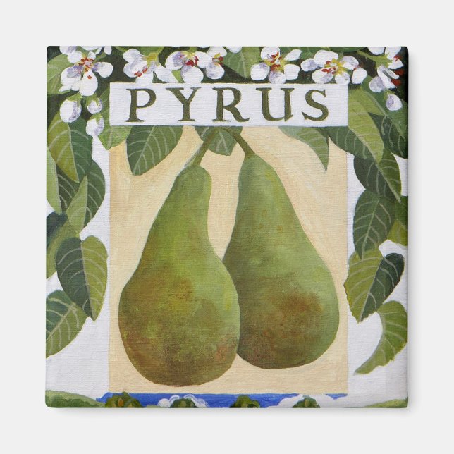 Aimant Pyrus (Devant)