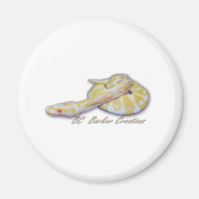 Aimant Python de boule à cliquet albinos (Devant)