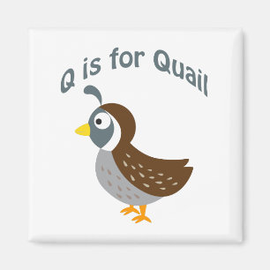 Aimant Q est pour Quail