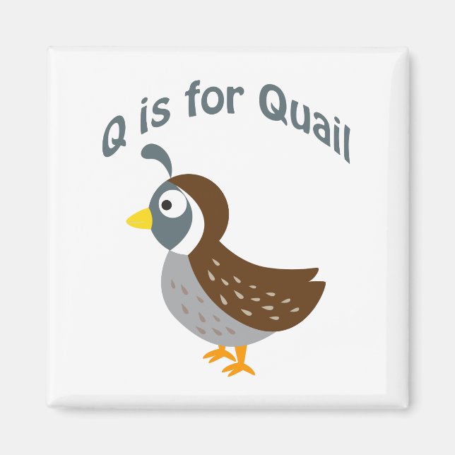 Aimant Q est pour Quail (Devant)