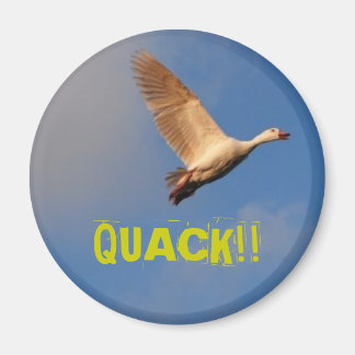 AIMANT QUACK ! !