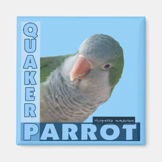 Aimant Quaker Parakee Photo