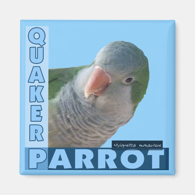Aimant Quaker Parakee Photo (Devant)
