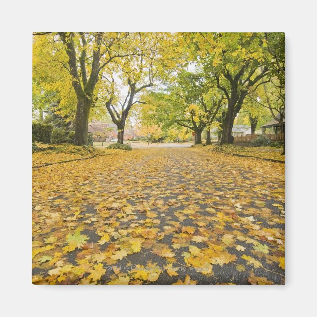 Aimant Quartier Est En Automne (Devant)