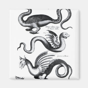 Aimant Quatre types de dragon