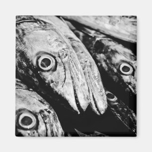 Aimant quatre yeux