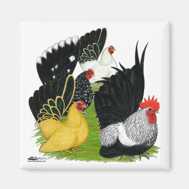 Aimant Quatuor japonais Bantam (Devant)
