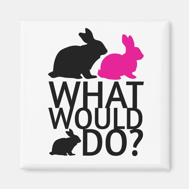 Aimant Que ferait lapin ? (Devant)