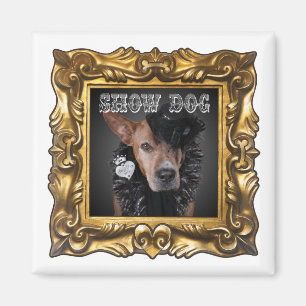 Aimant "que montrez chien" augmentait votre