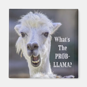 Aimant Qu'est-ce que le Prob-Llama ? Jote Drôle LLAMA