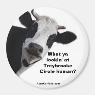 Aimant Qu'est-ce que vous regardez chez Treybrooke Circle