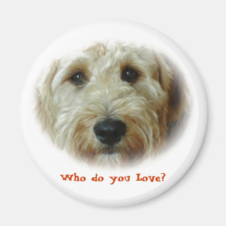 Aimant Qui aimez-vous ? Chien drôle