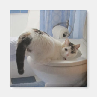 Aimant Qui ? Moi?