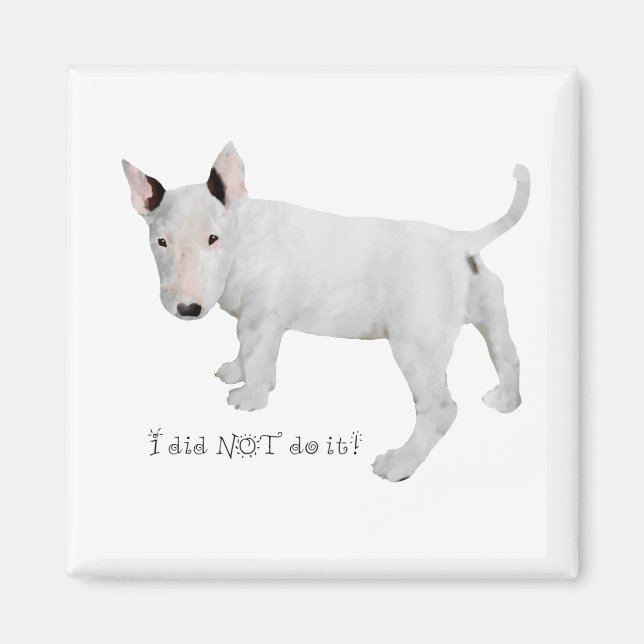 Aimant Qui, moi ?  chiot Bull Terrier (Devant)