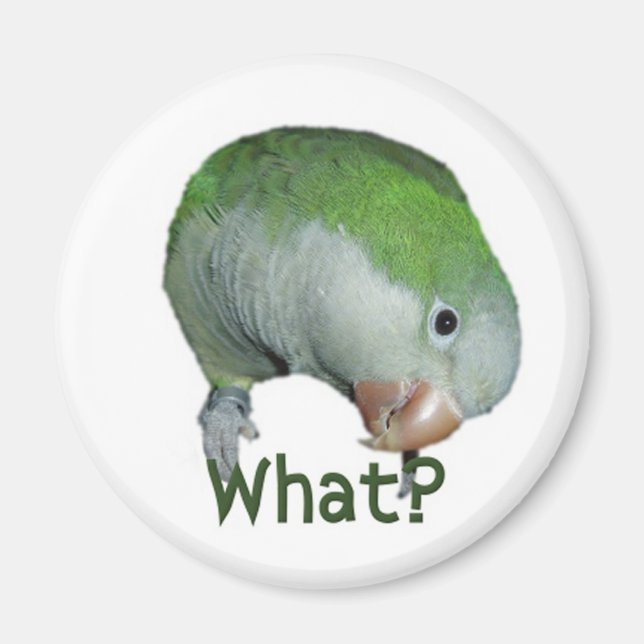 Aimant Quoi ? (Devant)