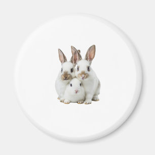 Aimant rabbit family 