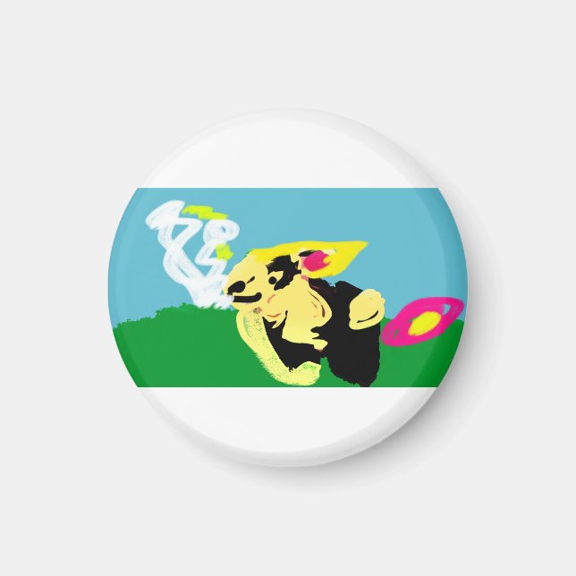 Aimant Rabbit spring   (Devant)