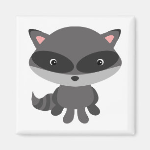 Aimant Raccoon