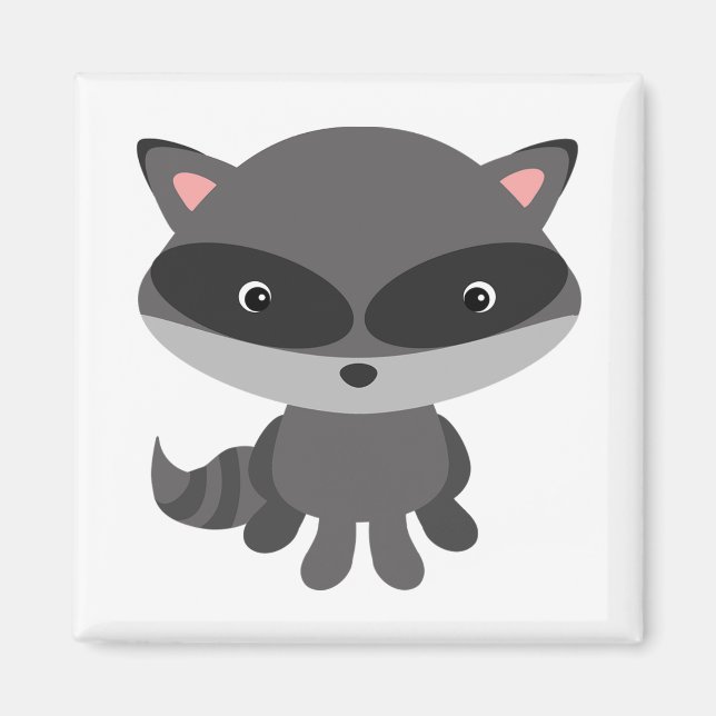 Aimant Raccoon (Devant)