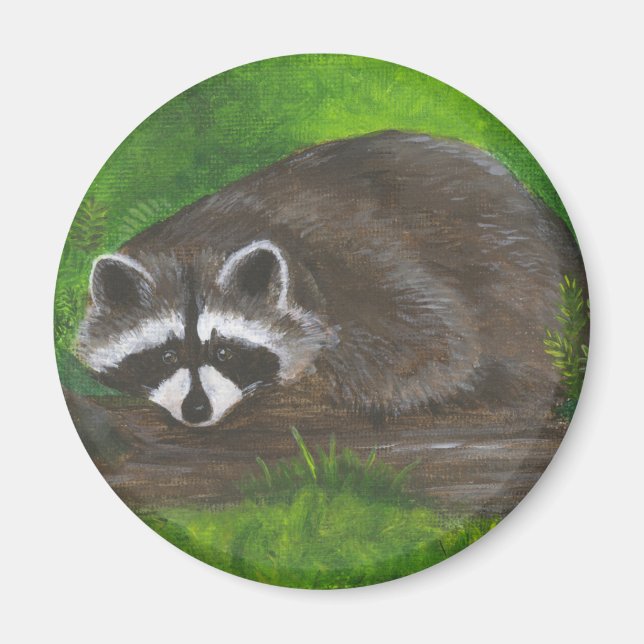 Aimant Raccoon (Devant)