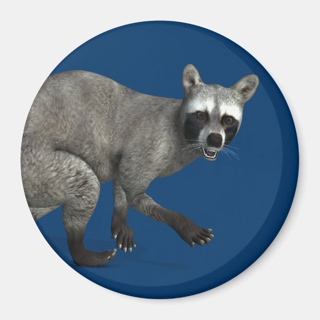 Aimant Raccoon surpris (Devant)