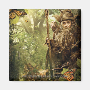 Aimant RADAGAST™ in Forest