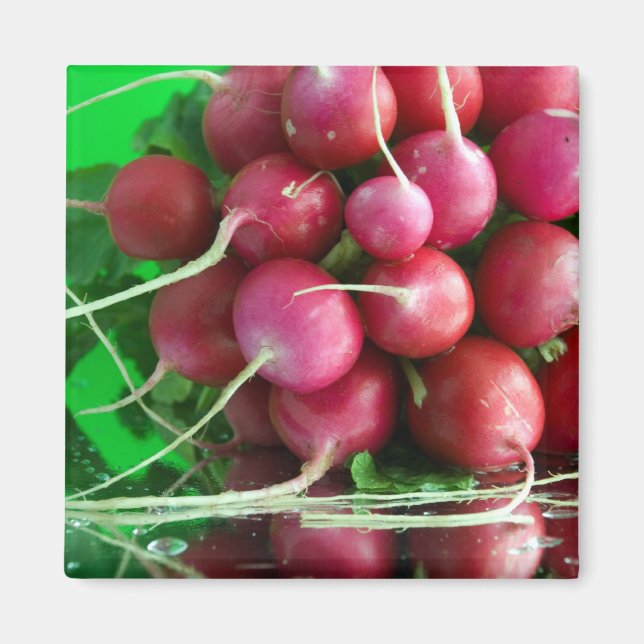 Aimant Radish (Devant)