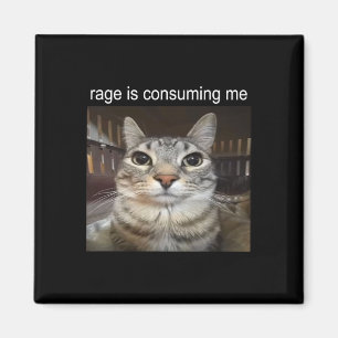 Aimant Rage Me Consume Silly Staring Cat Meme