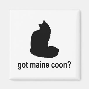 Aimant Ragondin obtenu du Maine ?