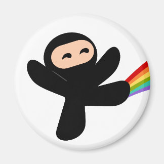 Aimant Rainbow Ninja Kick