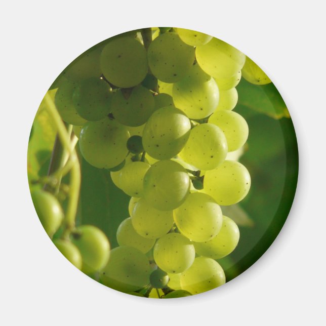 Aimant Raisins (Devant)