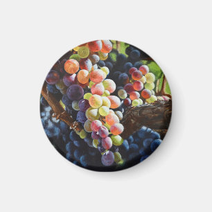 Aimant Raisins d'abondance pour les amateurs de vin et le