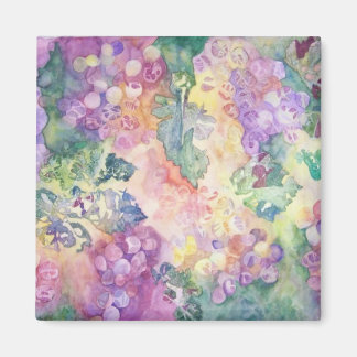 Aimant Raisins Dans L'Aimant Solaire