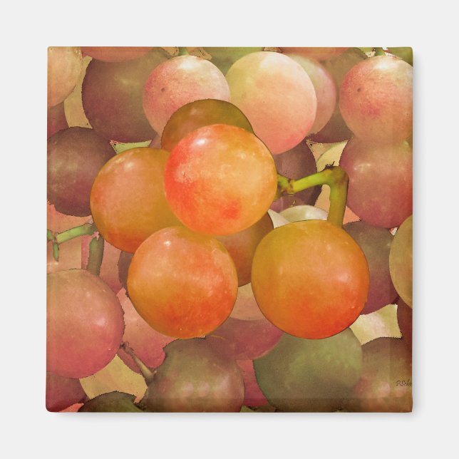 Aimant Raisins non en colère (Devant)