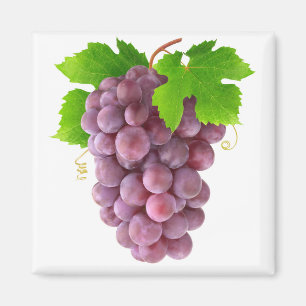 Aimant Raisins rouges