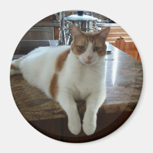 Aimant Rambo - Orange Kitty