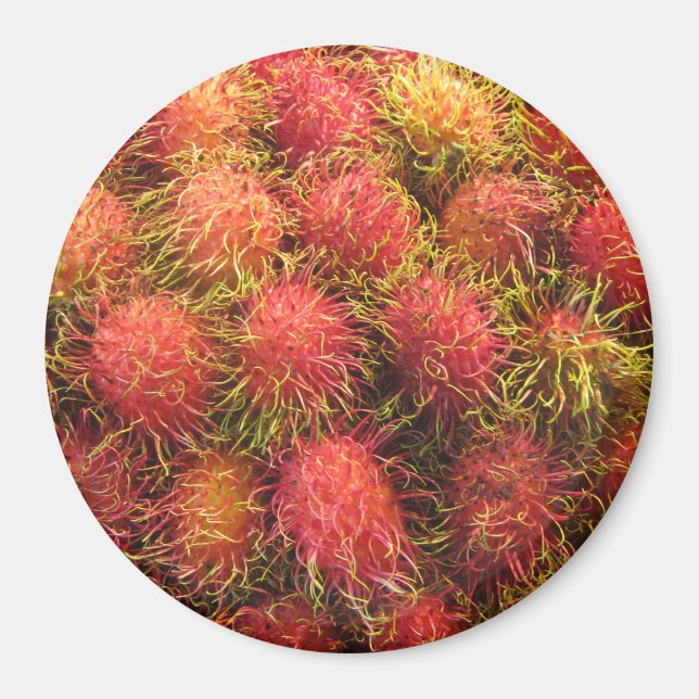 Aimant Rambutan Tropical Fruit (Devant)