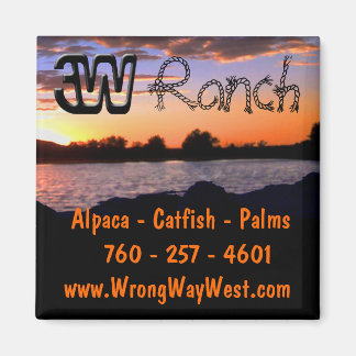 Aimant Ranch 3 W