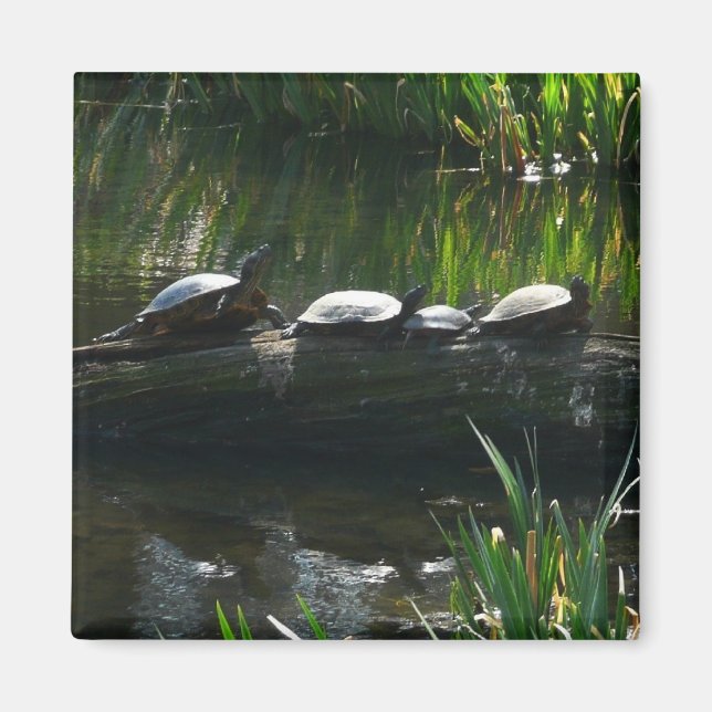 Aimant Rangée de tortues photo de la nature verte (Devant)