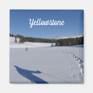Aimant Raquettes à neige dans le parc national de Yellows