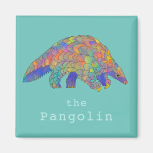 Aimant Rare anteater Pangolin coloré
