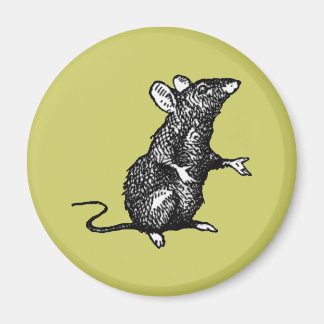 Aimant "rat face" - Customisé