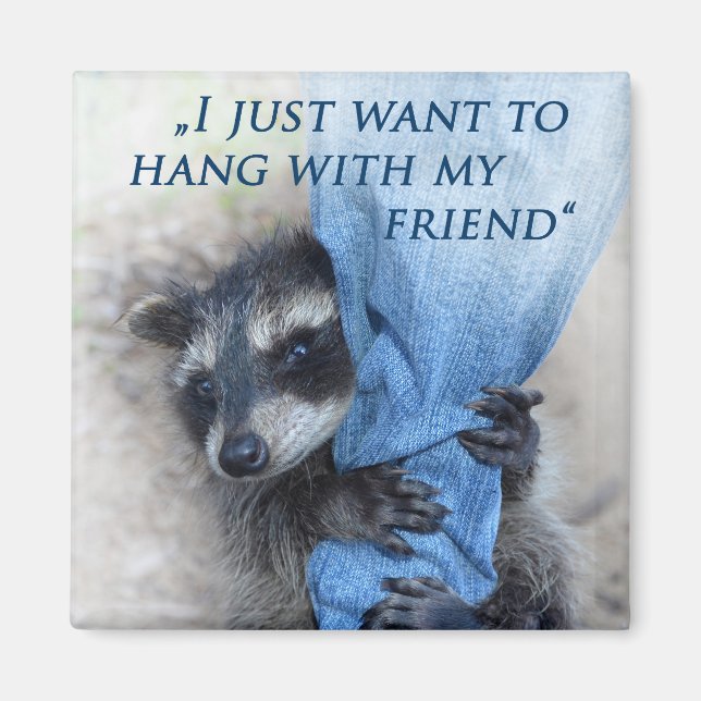 Aimant Raton laveur - Dépendre (Devant)