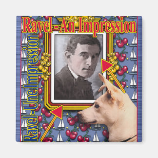 AIMANT RAVEL