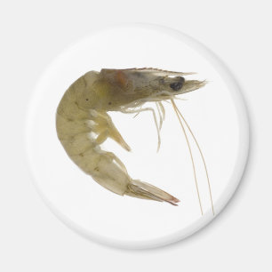 Aimant Raw gris crevé