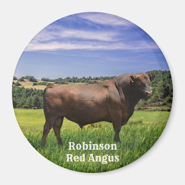 Aimant Red Angus Bull (Devant)
